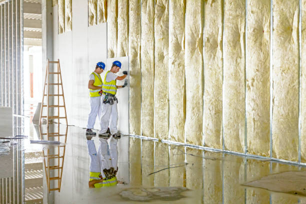 Best Insulation Maintenance and Repair in Waverly, NY